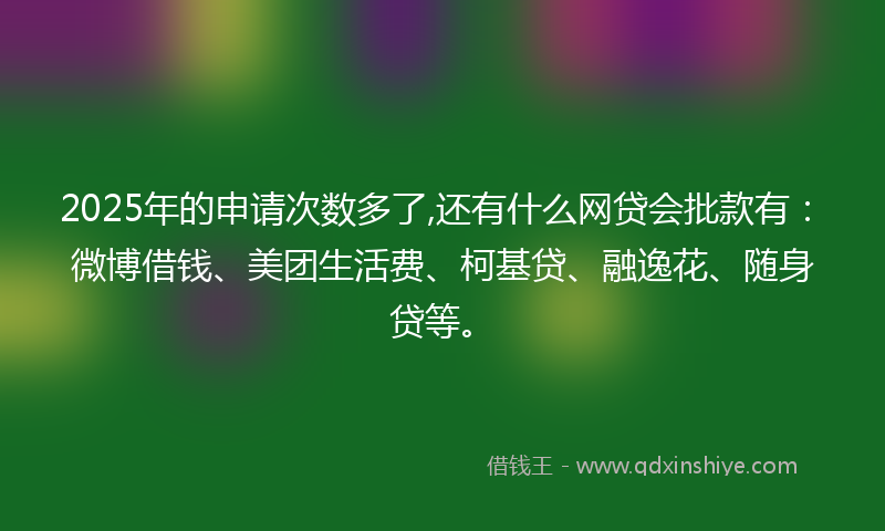 2025年的申请次数多了,还有什么网贷会批款有：微博借钱、美团生活费、柯基贷、融逸花、随身贷等。