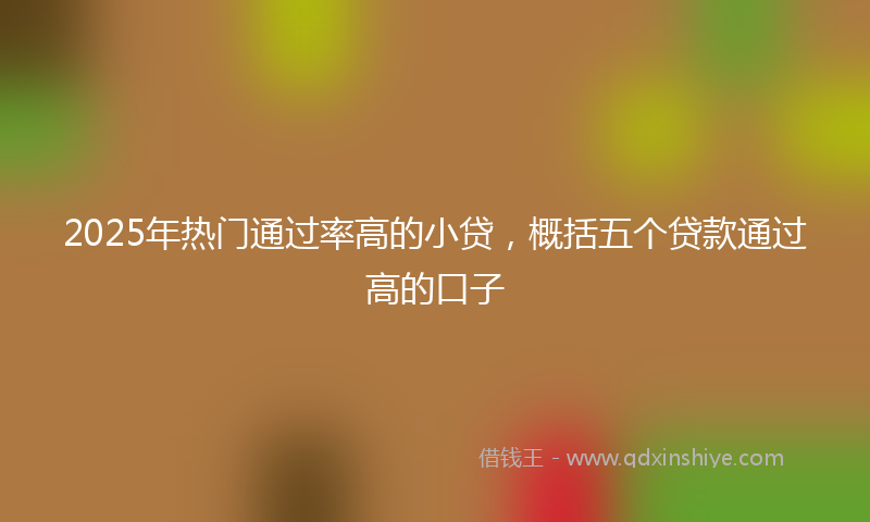 2025年热门通过率高的小贷，概括五个贷款通过高的口子