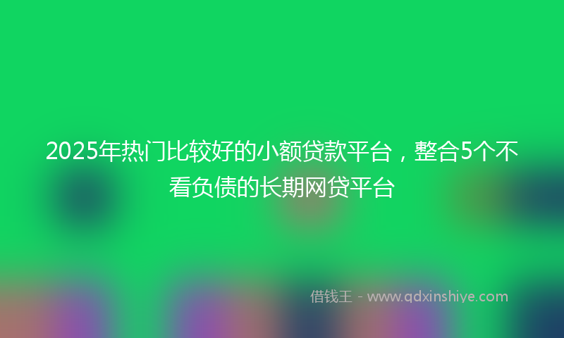 2025年热门比较好的小额贷款平台，整合5个不看负债的长期网贷平台
