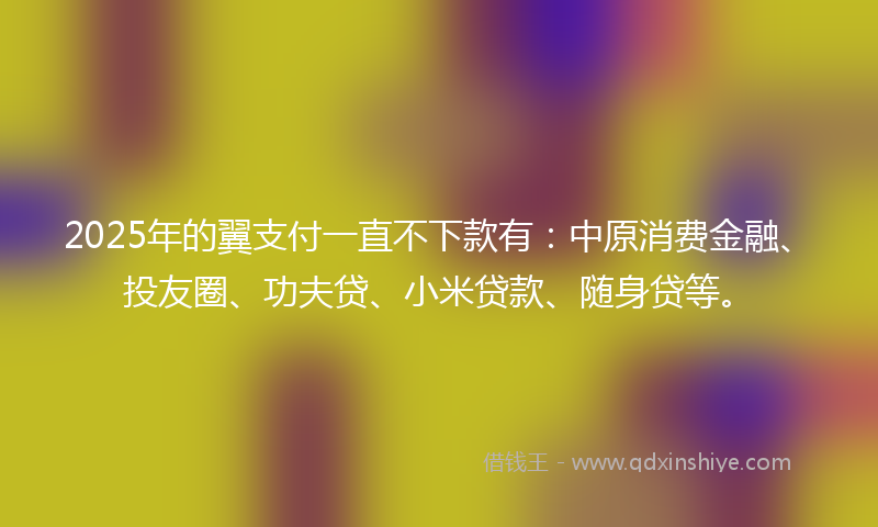 2025年的翼支付一直不下款有：中原消费金融、投友圈、功夫贷、小米贷款、随身贷等。