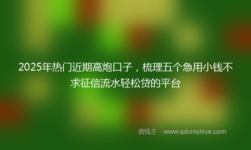 2025年热门近期高炮口子，梳理五个急用小钱不求征信流水轻松贷的平台