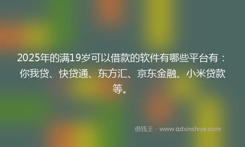 2025年的满19岁可以借款的软件有哪些平台有：你我贷、快贷通、东方汇、京东金融、小米贷款等。