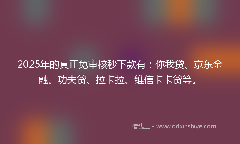2025年的真正免审核秒下款有：你我贷、京东金融、功夫贷、拉卡拉、维信卡卡贷等。