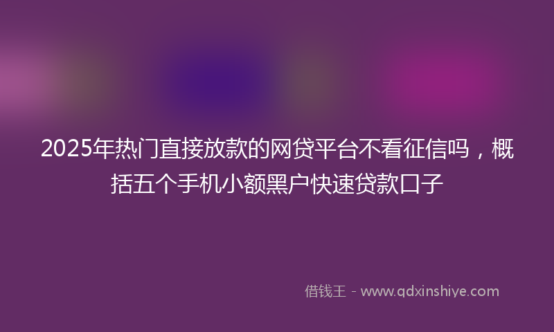 2025年热门直接放款的网贷平台不看征信吗，概括五个手机小额黑户快速贷款口子