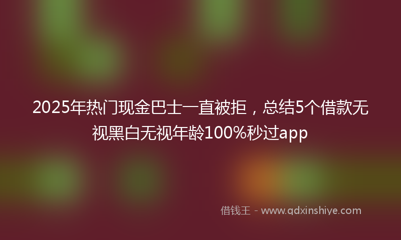2025年热门现金巴士一直被拒，总结5个借款无视黑白无视年龄100%秒过app