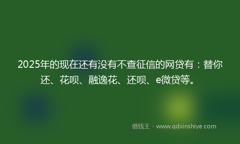 2025年的现在还有没有不查征信的网贷有：替你还、花呗、融逸花、还呗、e微贷等。