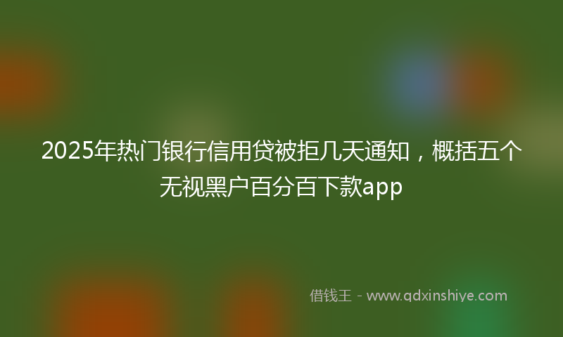 2025年热门银行信用贷被拒几天通知，概括五个无视黑户百分百下款app