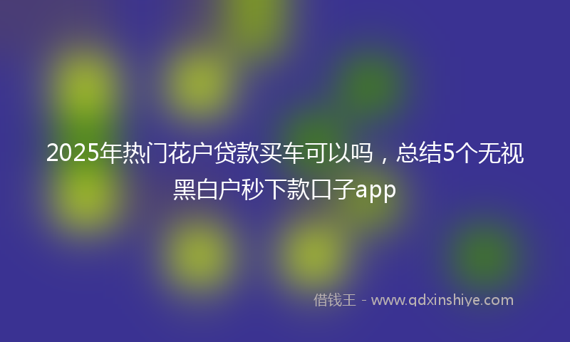 2025年热门花户贷款买车可以吗，总结5个无视黑白户秒下款口子app