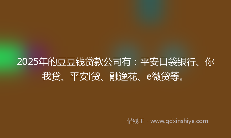 2025年的豆豆钱贷款公司有：平安口袋银行、你我贷、平安i贷、融逸花、e微贷等。