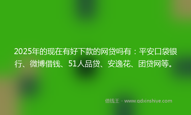 2025年的现在有好下款的网贷吗有：平安口袋银行、微博借钱、51人品贷、安逸花、团贷网等。