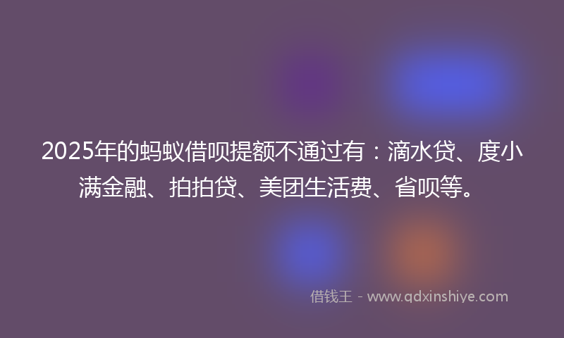 2025年的蚂蚁借呗提额不通过有：滴水贷、度小满金融、拍拍贷、美团生活费、省呗等。