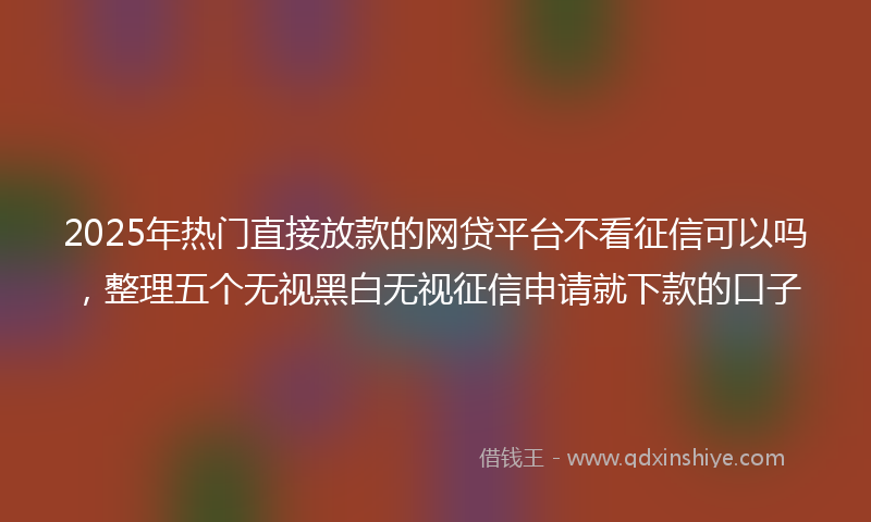 2025年热门直接放款的网贷平台不看征信可以吗，整理五个无视黑白无视征信申请就下款的口子
