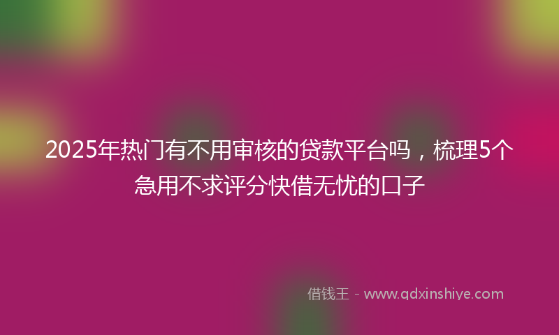 2025年热门有不用审核的贷款平台吗，梳理5个急用不求评分快借无忧的口子