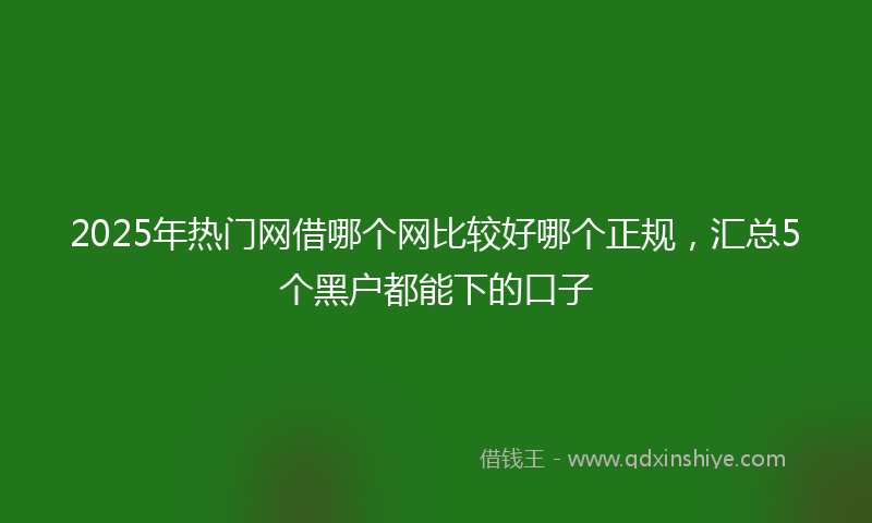 2025年热门网借哪个网比较好哪个正规，汇总5个黑户都能下的口子