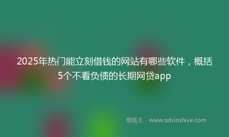 2025年热门能立刻借钱的网站有哪些软件，概括5个不看负债的长期网贷app