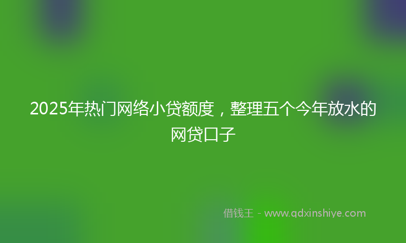 2025年热门网络小贷额度，整理五个今年放水的网贷口子