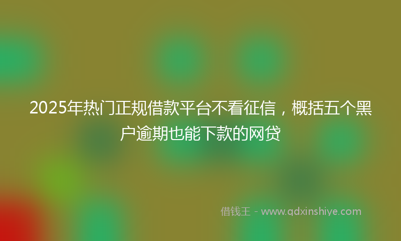2025年热门正规借款平台不看征信，概括五个黑户逾期也能下款的网贷