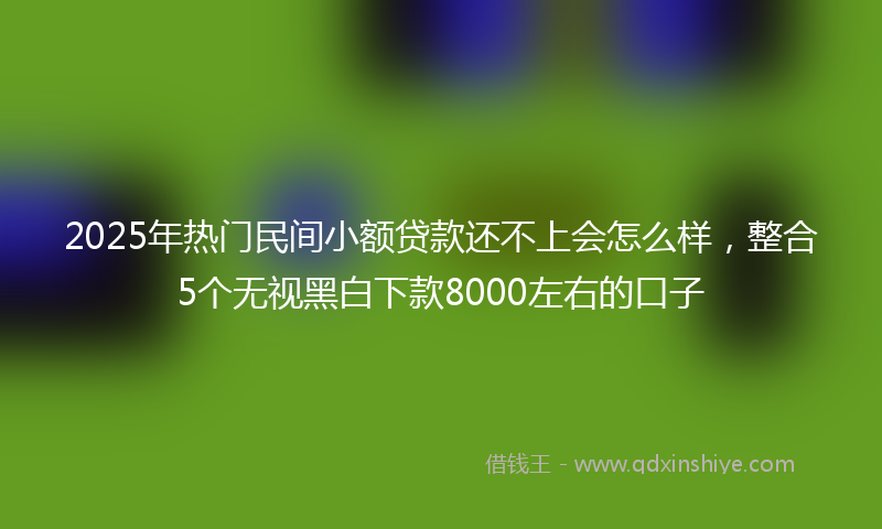2025年热门民间小额贷款还不上会怎么样，整合5个无视黑白下款8000左右的口子