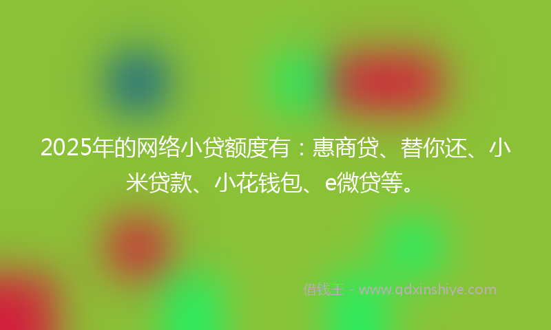 2025年的网络小贷额度有：惠商贷、替你还、小米贷款、小花钱包、e微贷等。