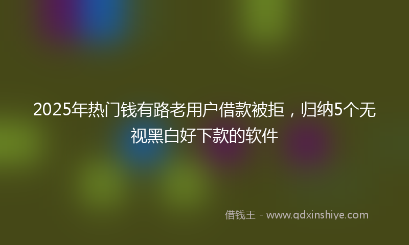 2025年热门钱有路老用户借款被拒，归纳5个无视黑白好下款的软件