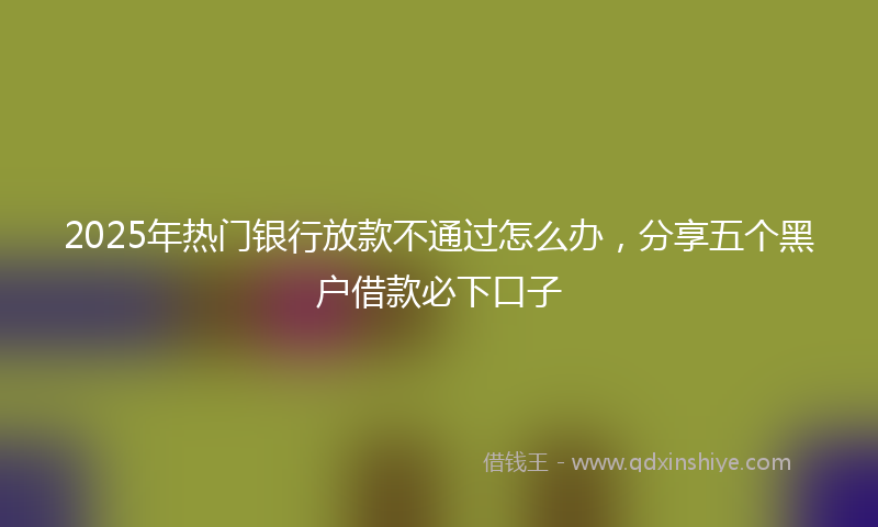 2025年热门银行放款不通过怎么办，分享五个黑户借款必下口子