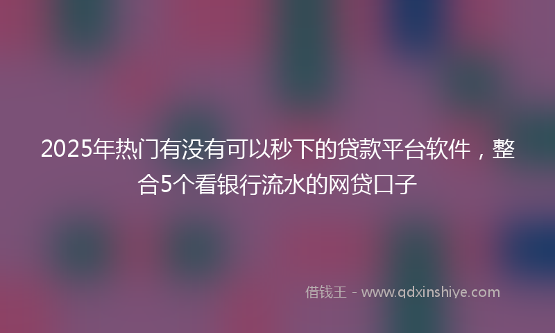 2025年热门有没有可以秒下的贷款平台软件，整合5个看银行流水的网贷口子