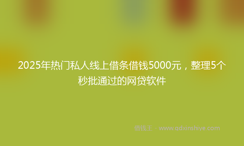 2025年热门私人线上借条借钱5000元，整理5个秒批通过的网贷软件