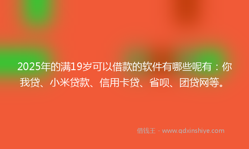 2025年的满19岁可以借款的软件有哪些呢有：你我贷、小米贷款、信用卡贷、省呗、团贷网等。