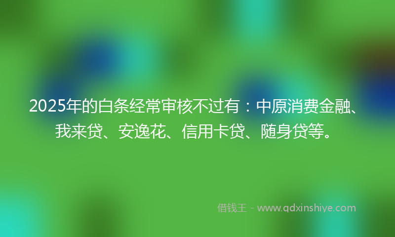 2025年的白条经常审核不过有：中原消费金融、我来贷、安逸花、信用卡贷、随身贷等。