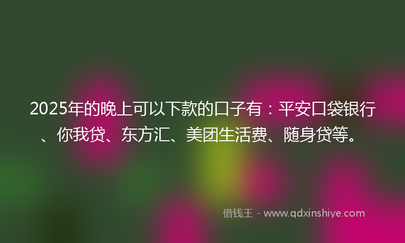 2025年的晚上可以下款的口子有：平安口袋银行、你我贷、东方汇、美团生活费、随身贷等。