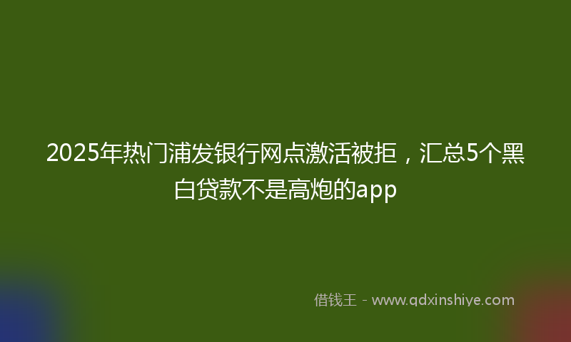 2025年热门浦发银行网点激活被拒，汇总5个黑白贷款不是高炮的app