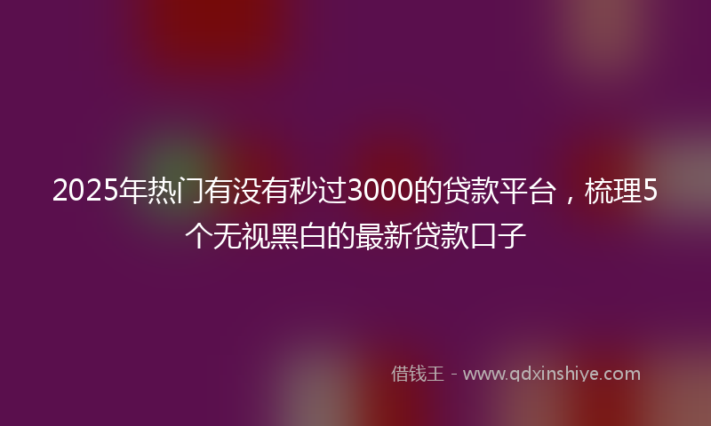 2025年热门有没有秒过3000的贷款平台，梳理5个无视黑白的最新贷款口子