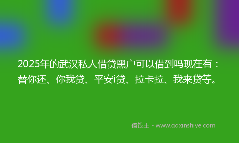 2025年的武汉私人借贷黑户可以借到吗现在有：替你还、你我贷、平安i贷、拉卡拉、我来贷等。