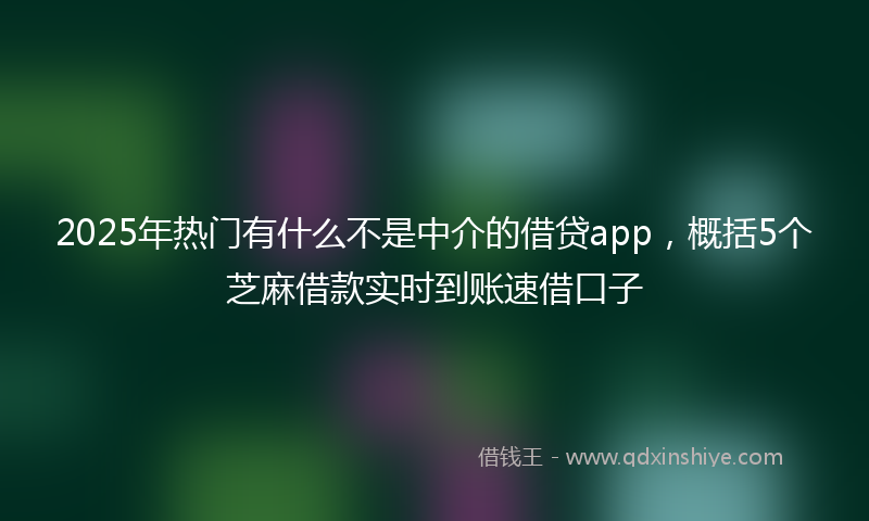 2025年热门有什么不是中介的借贷app，概括5个芝麻借款实时到账速借口子
