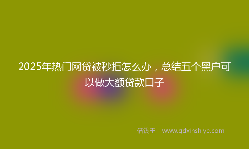 2025年热门网贷被秒拒怎么办，总结五个黑户可以做大额贷款口子