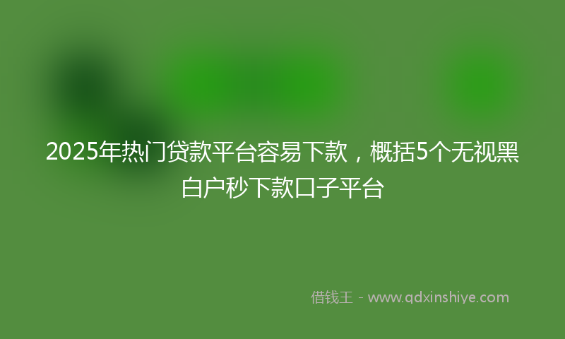 2025年热门贷款平台容易下款，概括5个无视黑白户秒下款口子平台
