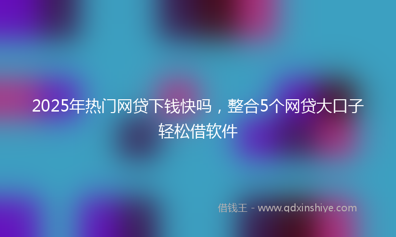 2025年热门网贷下钱快吗，整合5个网贷大口子轻松借软件