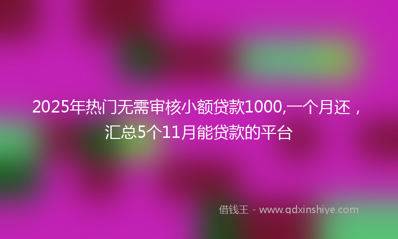 2025年热门无需审核小额贷款1000,一个月还，汇总5个11月能贷款的平台