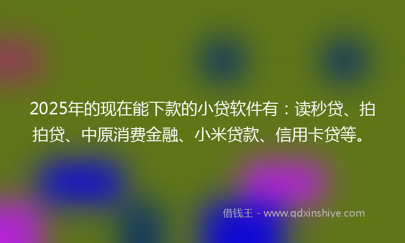 2025年的现在能下款的小贷软件有：读秒贷、拍拍贷、中原消费金融、小米贷款、信用卡贷等。