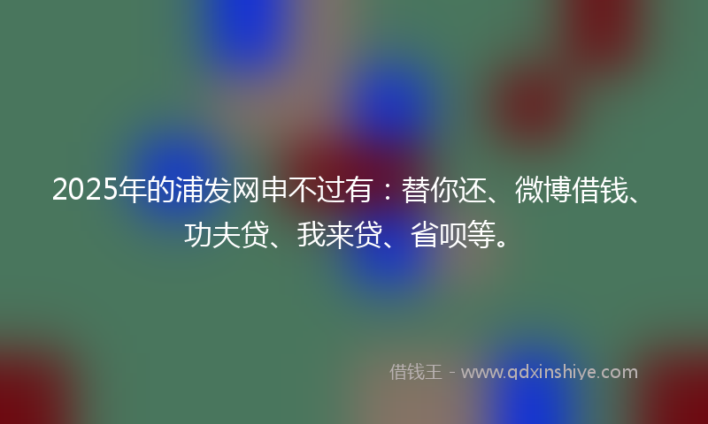 2025年的浦发网申不过有：替你还、微博借钱、功夫贷、我来贷、省呗等。