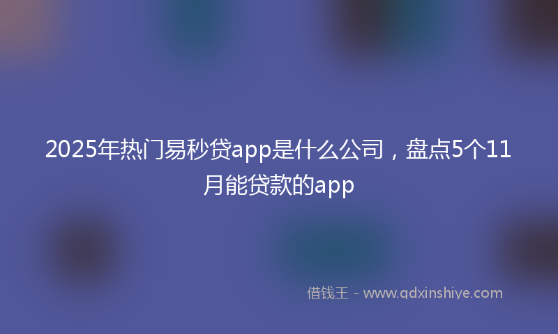 2025年热门易秒贷app是什么公司，盘点5个11月能贷款的app