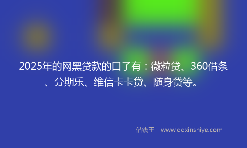 2025年的网黑贷款的口子有：微粒贷、360借条、分期乐、维信卡卡贷、随身贷等。