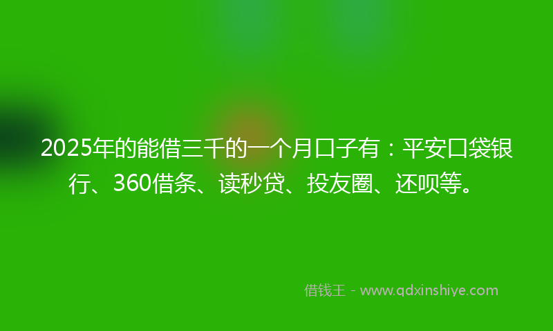 2025年的能借三千的一个月口子有：平安口袋银行、360借条、读秒贷、投友圈、还呗等。