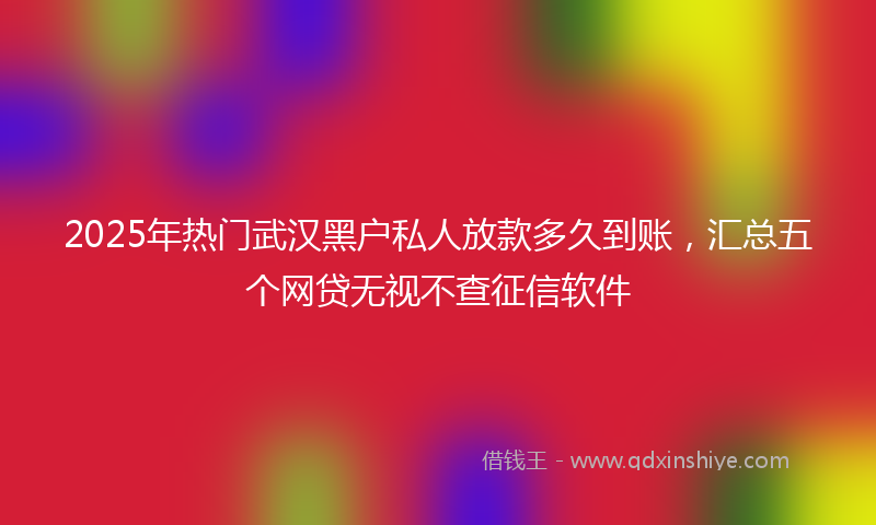2025年热门武汉黑户私人放款多久到账，汇总五个网贷无视不查征信软件