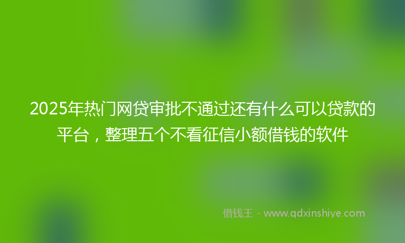 2025年热门网贷审批不通过还有什么可以贷款的平台，整理五个不看征信小额借钱的软件
