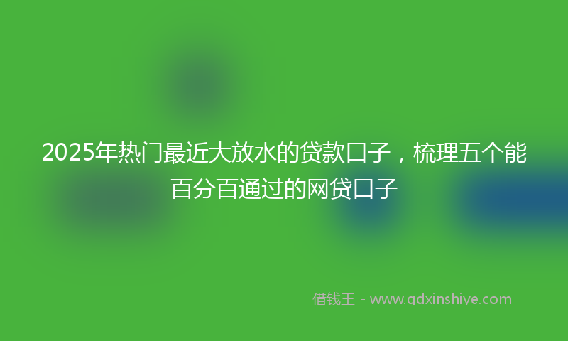 2025年热门最近大放水的贷款口子，梳理五个能百分百通过的网贷口子