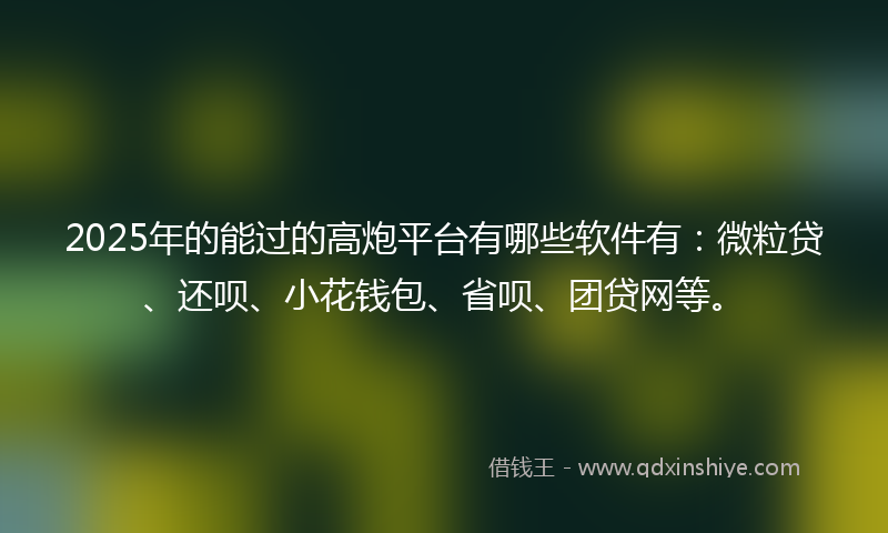 2025年的能过的高炮平台有哪些软件有：微粒贷、还呗、小花钱包、省呗、团贷网等。