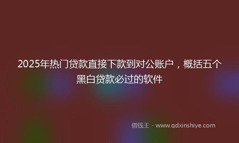 2025年热门贷款直接下款到对公账户，概括五个黑白贷款必过的软件