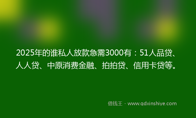 2025年的谁私人放款急需3000有：51人品贷、人人贷、中原消费金融、拍拍贷、信用卡贷等。