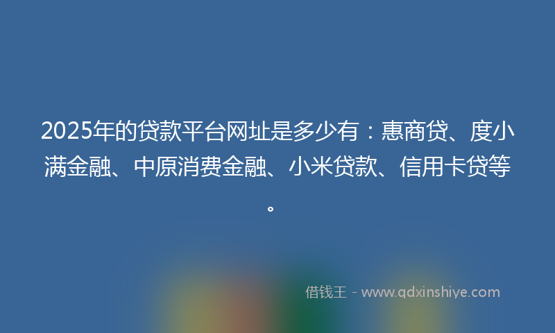 2025年的贷款平台网址是多少有：惠商贷、度小满金融、中原消费金融、小米贷款、信用卡贷等。